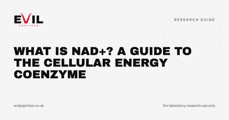 What Is NAD+? A Guide to the Cellular Energy Coenzyme